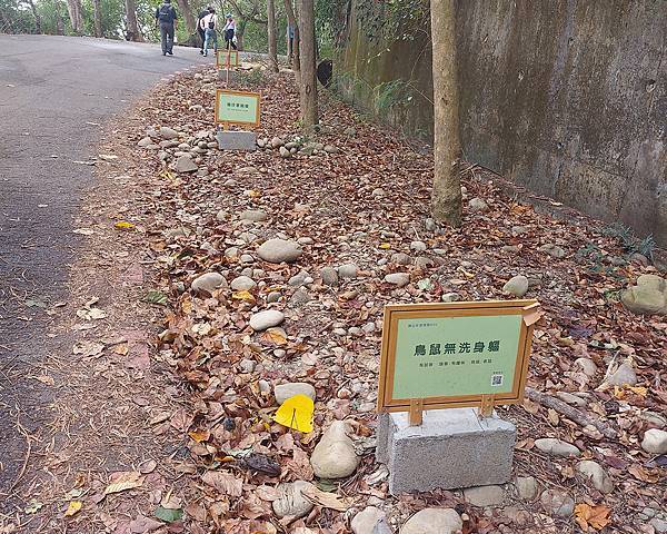 藤山步道 (6).jpg