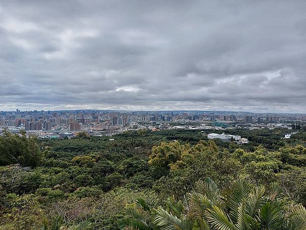 1110130大坑9號步道 (12).jpg