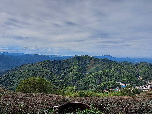 1110616雲嘉五連峰 (42).jpg