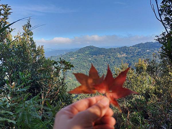 1110924薑麻園關刀山  (37).jpg