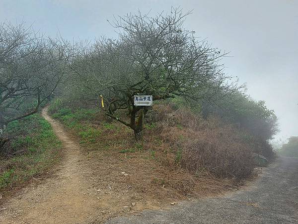 1111120刣牛湖山 (4).jpg