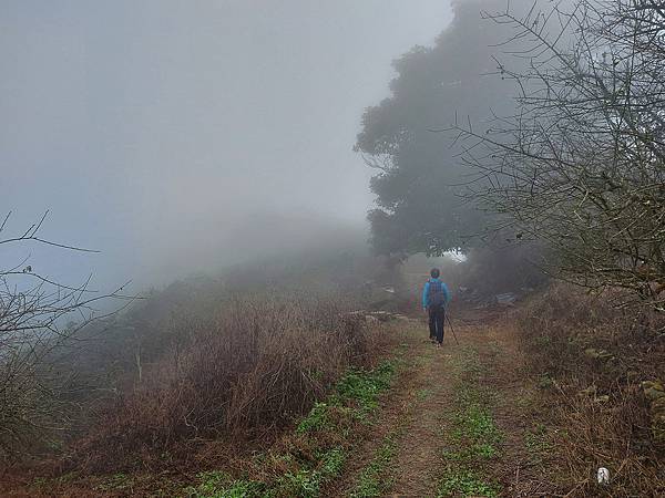 1111120刣牛湖山 (3).jpg