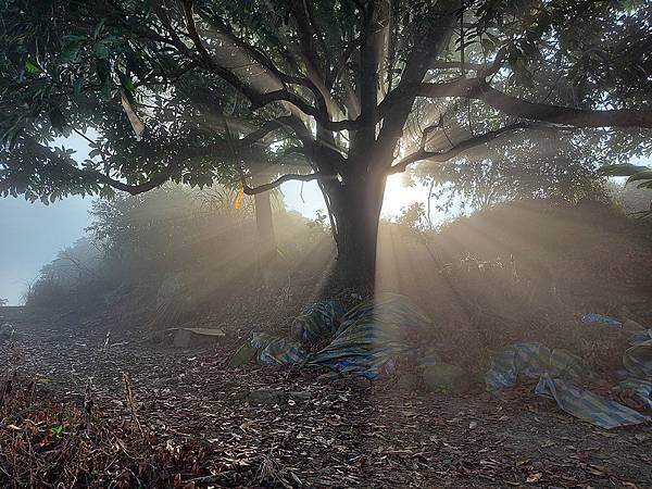 1111120刣牛湖山 (8).jpg