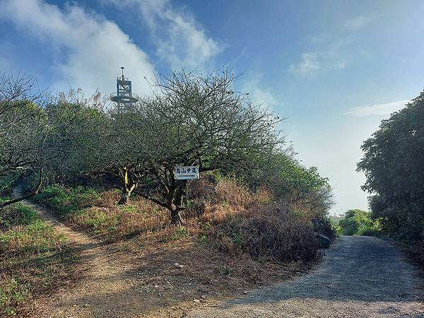 1111120刣牛湖山 (9).jpg