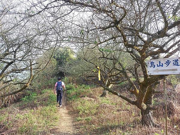 1111120刣牛湖山 (10).jpg