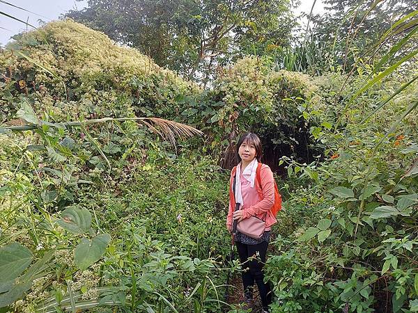 1111120刣牛湖山 (11).jpg