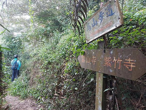 1111120刣牛湖山 (14).jpg