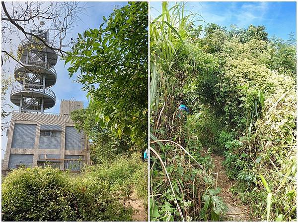 1111120刣牛湖山 (19).jpg