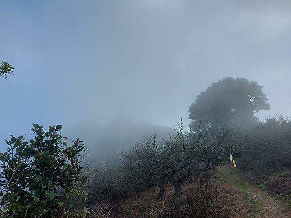 1111120刣牛湖山 (21).jpg