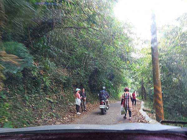 1111120刣牛湖山 (29).jpg