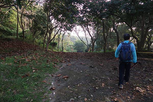 1111120刣牛湖山 (35).JPG