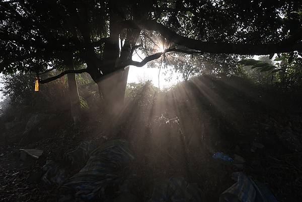 1111120刣牛湖山 (38).JPG