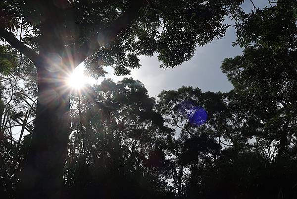 1111120刣牛湖山 (42).JPG