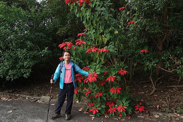 1111120刣牛湖山 (41).JPG