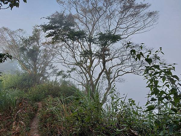 1111120刣牛湖山 (53).jpg