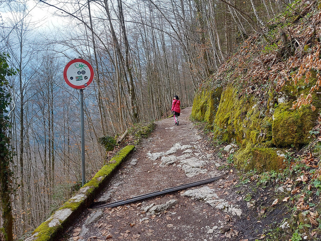 哈修塔特行山徑 (17).jpg 哈修塔特行山徑 (17).jpg