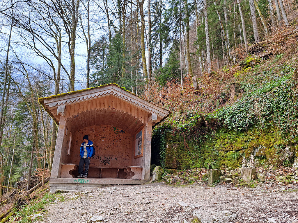 哈修塔特行山徑 (23).jpg 哈修塔特行山徑 (23).jpg