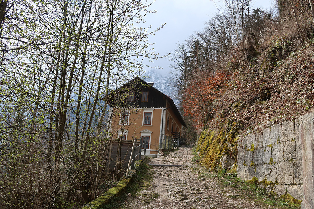 哈修塔特行山徑 (30).JPG 哈修塔特行山徑 (30).JPG