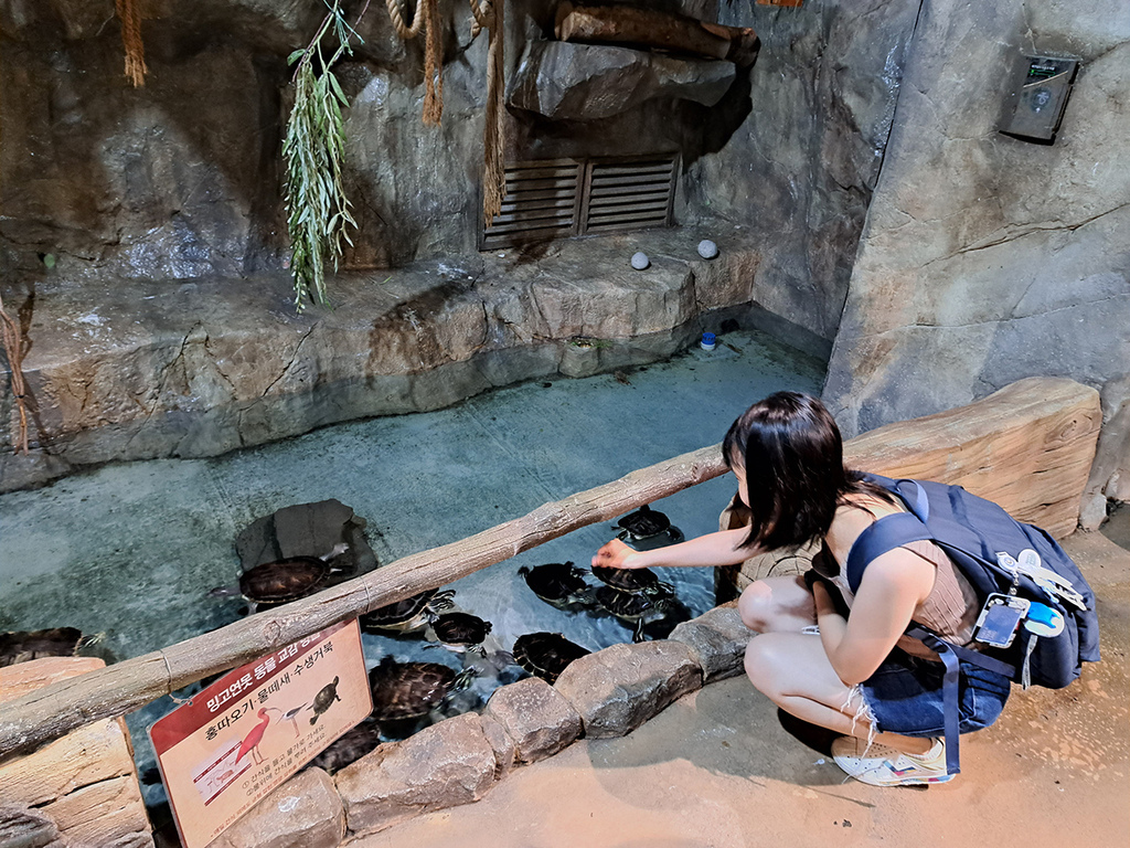 Zoolung Zoolung (11).jpg Zoolung Zoolung (11).jpg