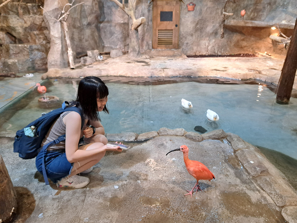 Zoolung Zoolung (12).jpg Zoolung Zoolung (12).jpg