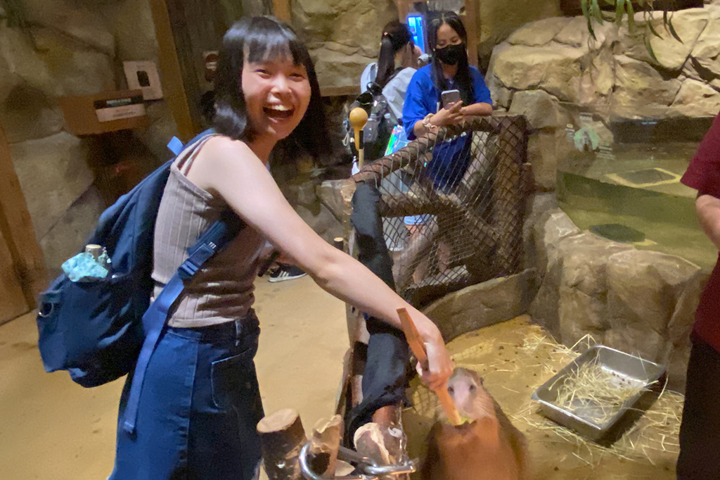 Zoolung Zoolung (15).JPG Zoolung Zoolung (15).JPG