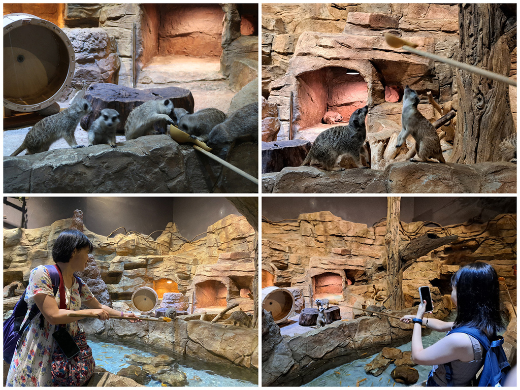 Zoolung Zoolung (16).JPG Zoolung Zoolung (16).JPG