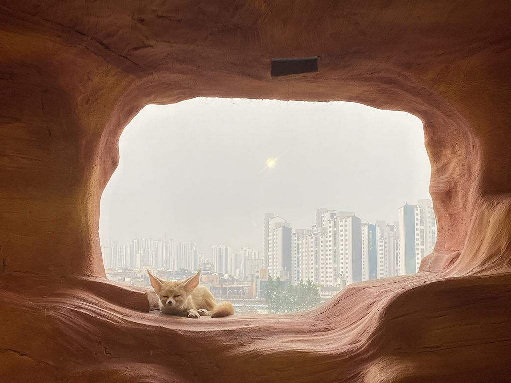 Zoolung Zoolung (19).JPG Zoolung Zoolung (19).JPG