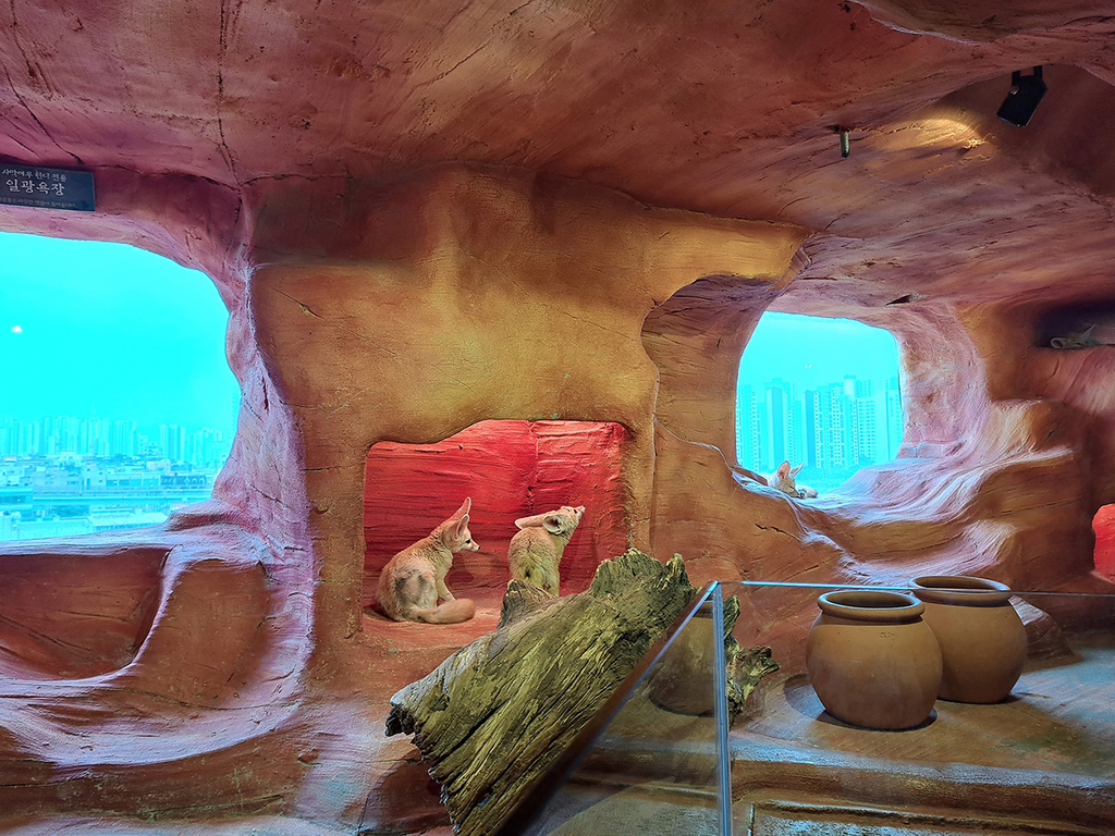 Zoolung Zoolung (18).jpg Zoolung Zoolung (18).jpg