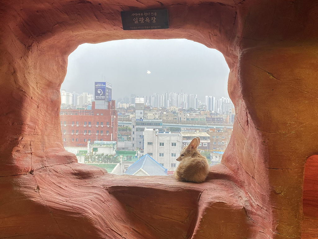 Zoolung Zoolung (20).JPG Zoolung Zoolung (20).JPG