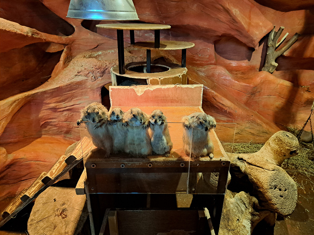 Zoolung Zoolung (21).jpg Zoolung Zoolung (21).jpg