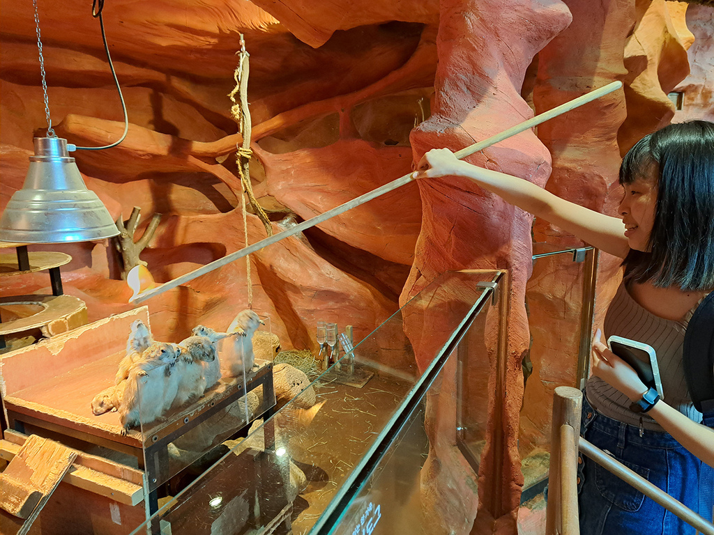 Zoolung Zoolung (22).jpg Zoolung Zoolung (22).jpg