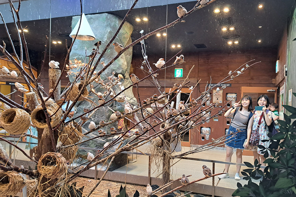 Zoolung Zoolung (24).jpg Zoolung Zoolung (24).jpg