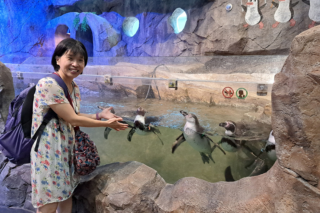 Zoolung Zoolung (27).jpg Zoolung Zoolung (27).jpg