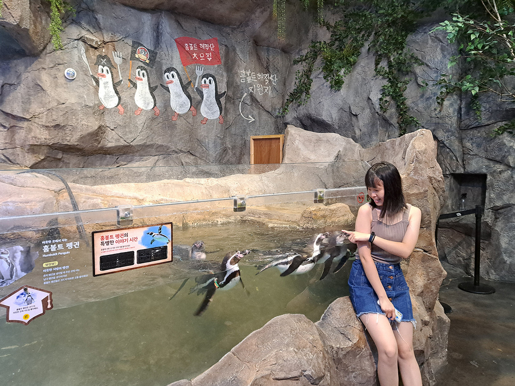 Zoolung Zoolung (28).jpg Zoolung Zoolung (28).jpg