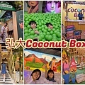 1120701 coconut box (30).jpg