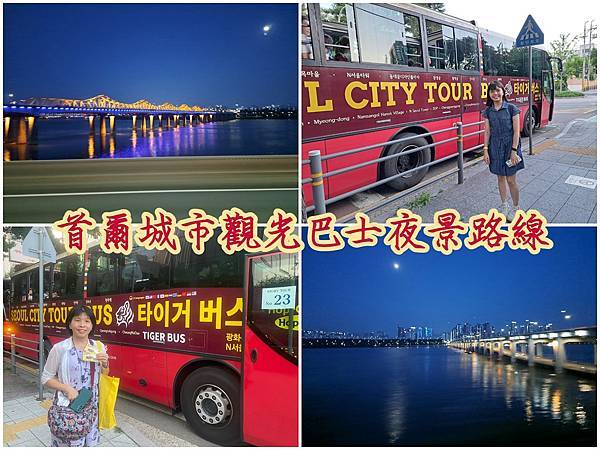 1120701首爾城市觀光巴士-夜間路線 (25).jpg