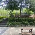 1120702首爾動物園 (40).JPG