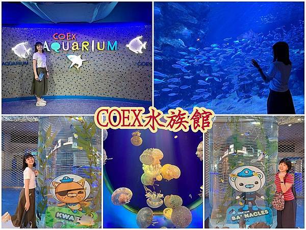 1120702 COEX水族館 (42).jpg