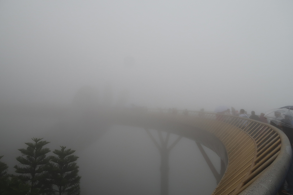 1130126巴拿山 (18).JPG 1130126巴拿山 (18).JPG