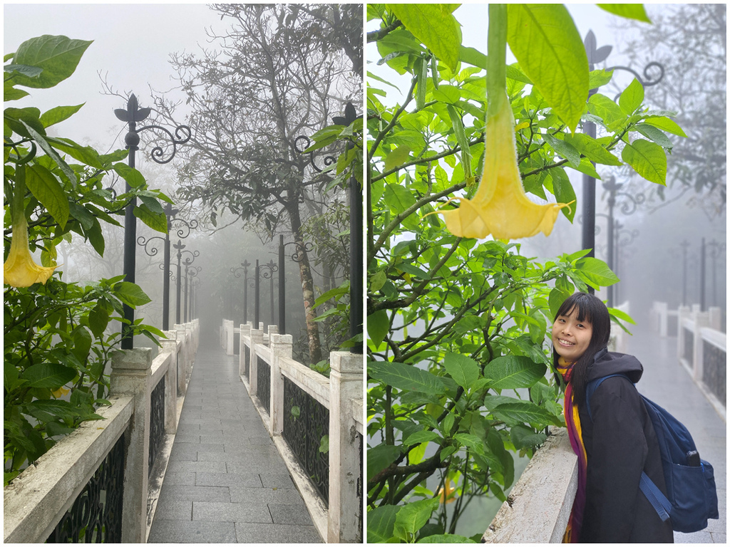 1130126巴拿山 (60).jpg 1130126巴拿山 (60).jpg