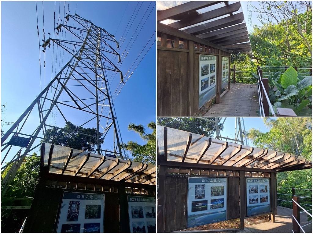 1131207蘭潭後山步道嘉大段 (6).jpg