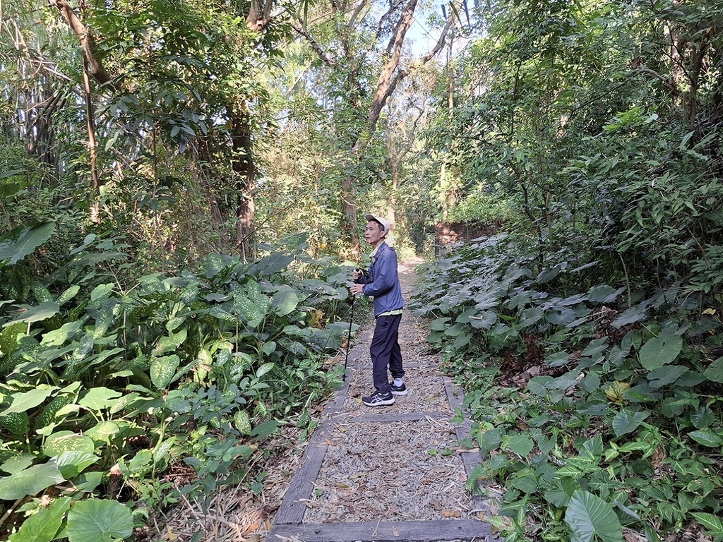 1131207蘭潭後山步道嘉大段 (4).jpg
