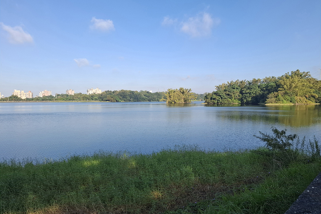 1131207蘭潭後山步道嘉大段 (1).jpg