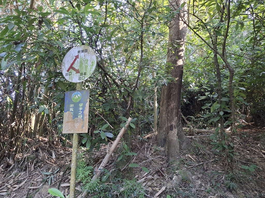 1131207蘭潭後山步道嘉大段 (7).jpg