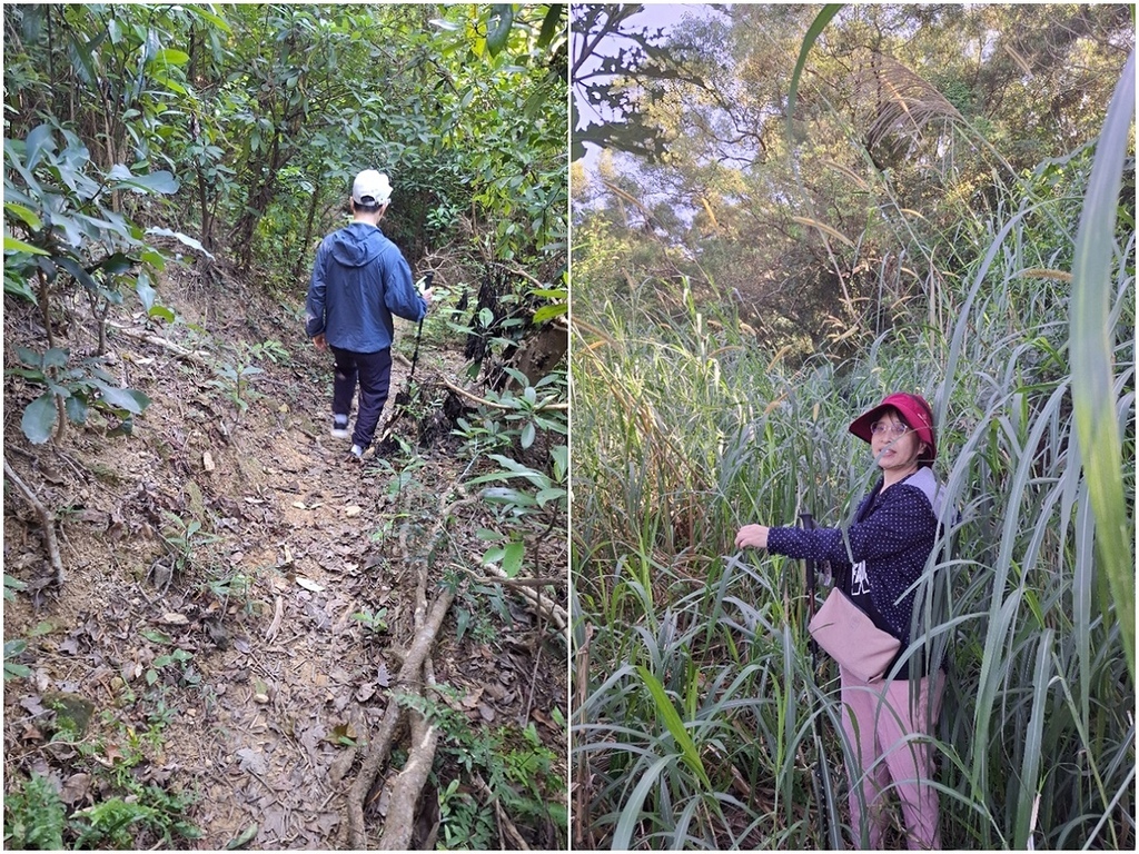 1131207蘭潭後山步道嘉大段 (9).jpg