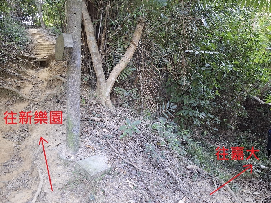 1131207蘭潭後山步道嘉大段 (8).jpg