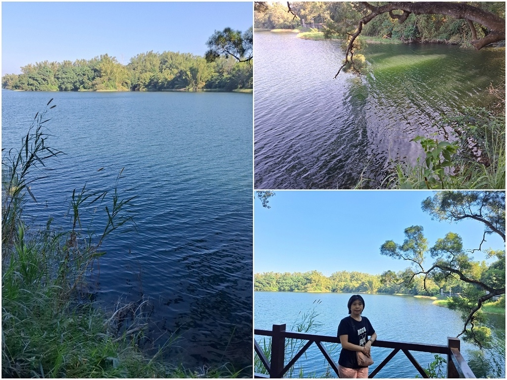 1131207蘭潭後山步道嘉大段 (14).jpg