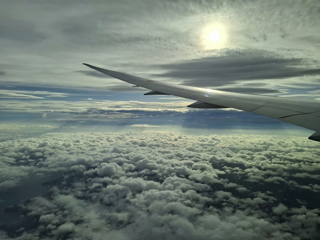 ANA (5).jpg ANA (5).jpg