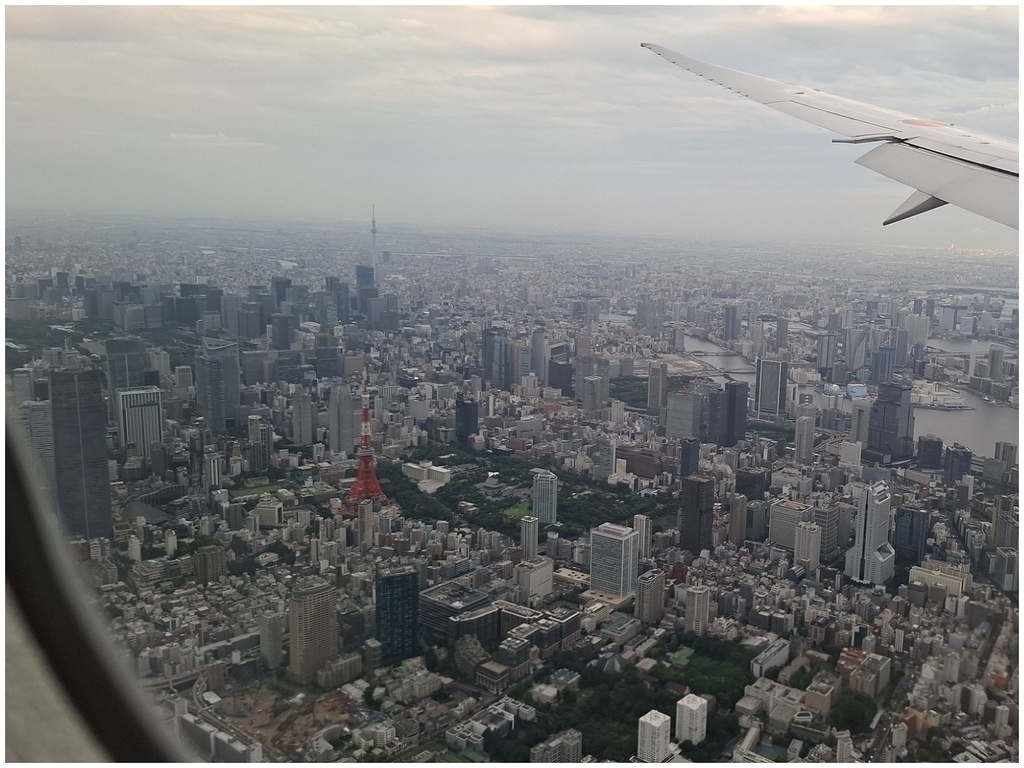 ANA (4).jpg ANA (4).jpg