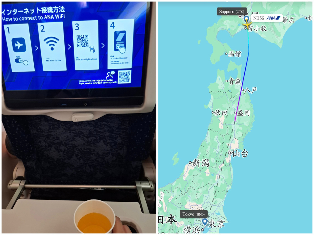 ANA (3).jpg ANA (3).jpg